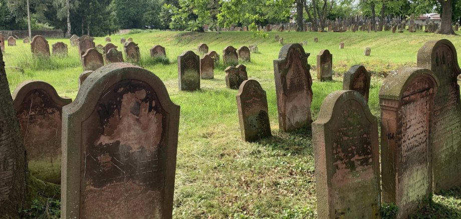 Blick auf den jüdischen Friedhof